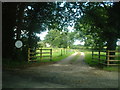 Road to Bagginswood Cottage