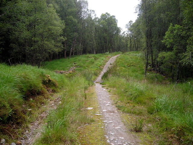 Path in Leanachan Forest