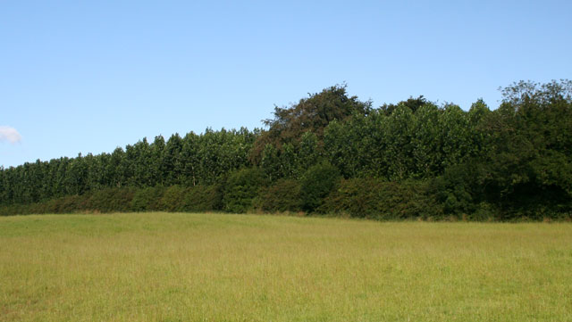 Private Forestry in Ballynease