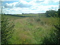 Dismantled Railway looking south-east