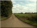 Road to Thorney Hill Farm