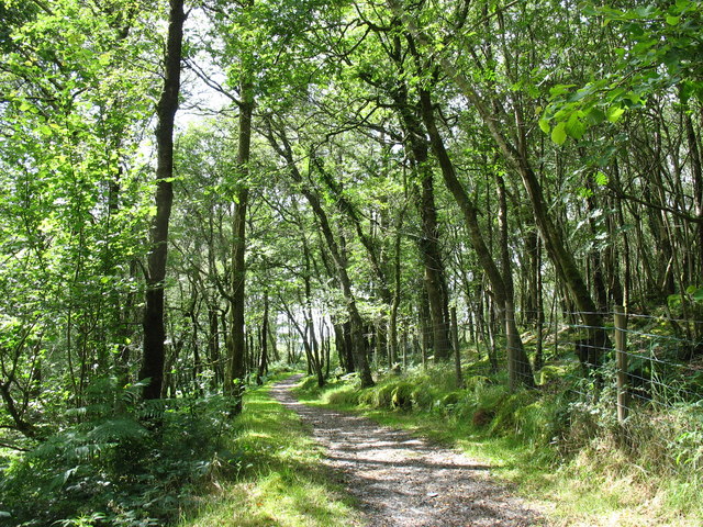 Ancient woodlands © Eric Jones :: Geograph Britain and Ireland