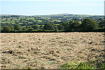 SX2282 : Altarnun: hay field by Martin Bodman