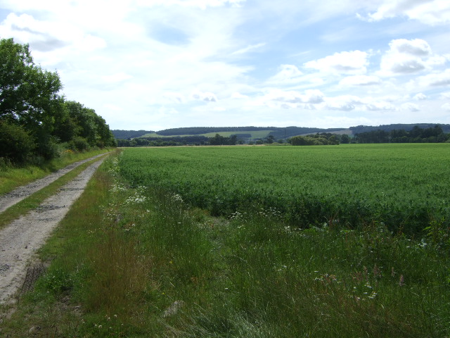 Farm track from Balwyllo