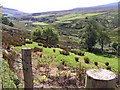 Carrowoaghtragh Townland