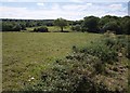 Fields near Lashbrook