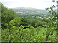 Labby Townland