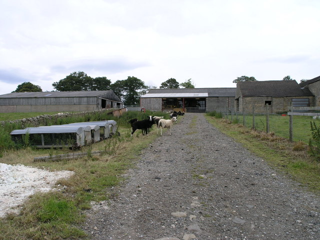 Streatlam Grange Farm.