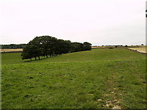 SE9284 : Farmland Bridleway by Andy Beecroft