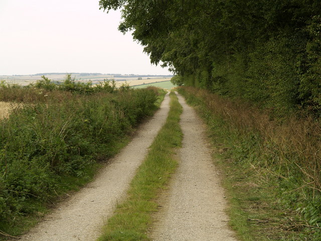 Bridleway next to Mowthorpe Plantation