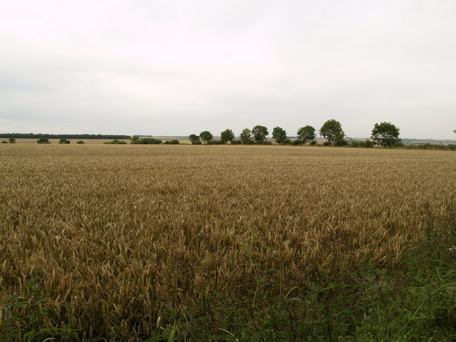 High Mowthorpe Farmland