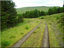 NM6550 : Track in Fiunary Forest by Iain Thompson