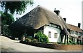 Hinton Martell: a thatched cottage