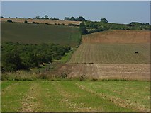 SU1934 : Farmland, Winterbourne Gunner by Andrew Smith