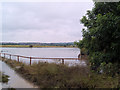 Flooded fields.