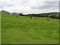 Ballybriest Townland