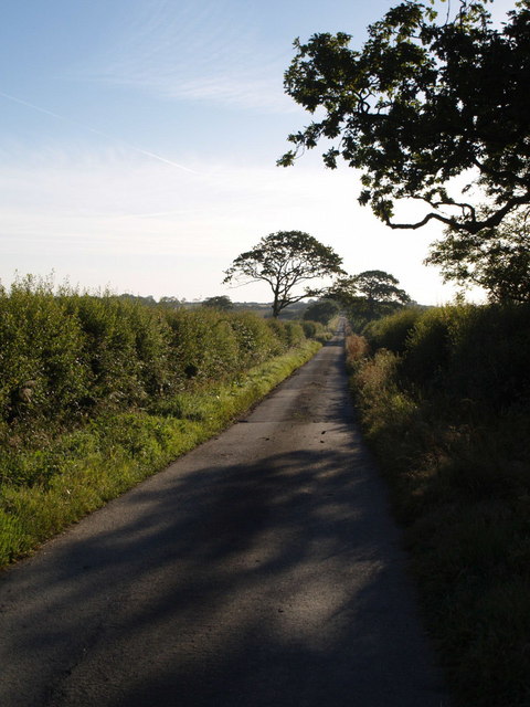 Dreybury Lane