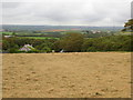 Haymaking above Trewiggett