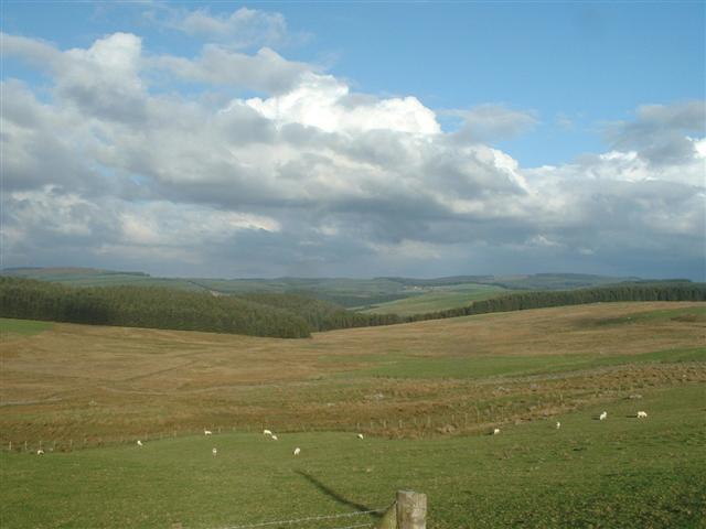 View from old cottage above Cefn Brith