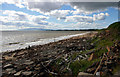 View to west towards Powfoot and Criffel