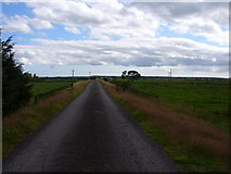NX4463 : Farm Road to Meikle Carse by Mark McKie