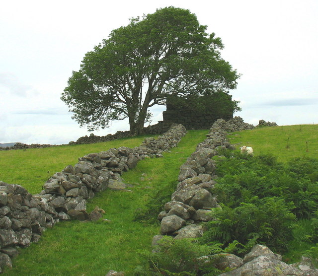 The old farm road to Ty Newydd