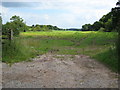 Field near to Burley Cottage