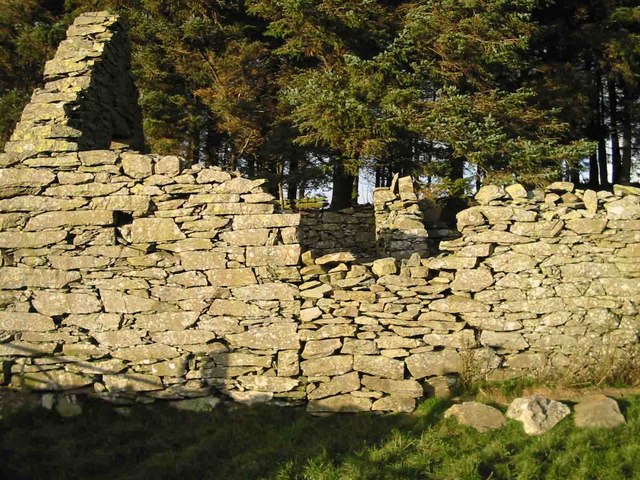 Bryn y Cyplau - front wall facing south