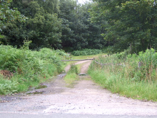 Entrance to Myriewell Wood, Monectt