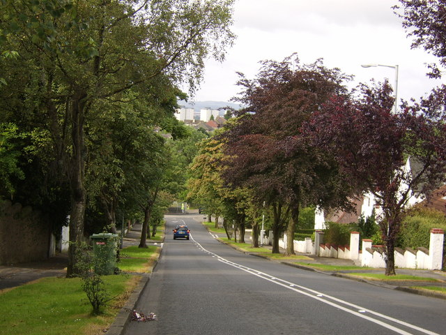 Looking downhill on Pendicle Road