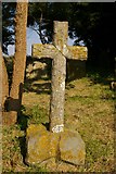 TM5080 : Grave in St Lawrence's churchyard by Fractal Angel