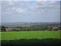 Viewing northwards from the Sandy Lane / Naish Hill Road.