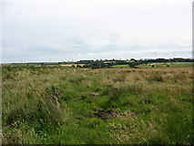 SH4773 : Hay meadows on land fringing the marsh by Eric Jones
