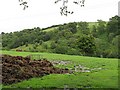 Wet farmland, Cothercott