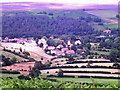 Moor above Castleton.