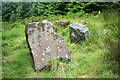 D1835 : "Double-Horned Cairn" in Ballypatrick Forest 2 by Cormac Duffin