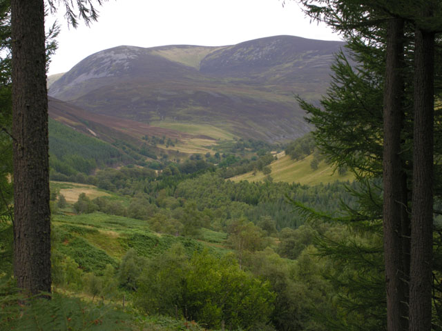 View towards Glen Tilt from Blairbuachdar Wood