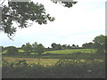 View across the fields towards Tyddyn Waen Farmhouse