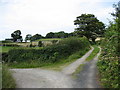 Track junction near Fagwyr Bach