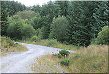 SN7253 : Forestry Road near Bryn Carregog, Ceredigion by Roger  D Kidd