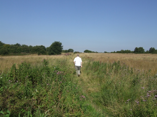 Across the Pelsall Common North Nature... © John M cc-by-sa/2.0 ...