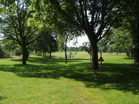 Pelsall Common © John M :: Geograph Britain and Ireland