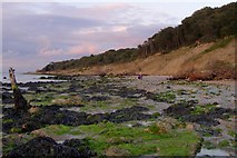 SZ3389 : Beach at low tide, east of Round Tower Point by Jim Champion