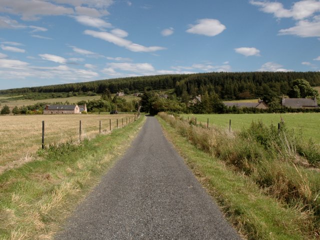 Road and Fields Near Mill of Barns
