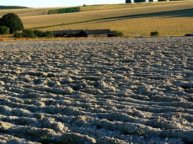 Ploughed field, south of Easton Royal