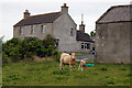 Farm of Bigging, Rendall