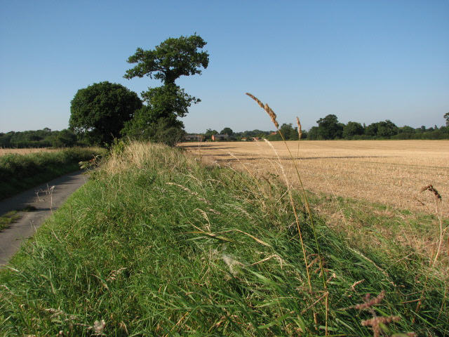 Road from Old Farm to Anchor Street