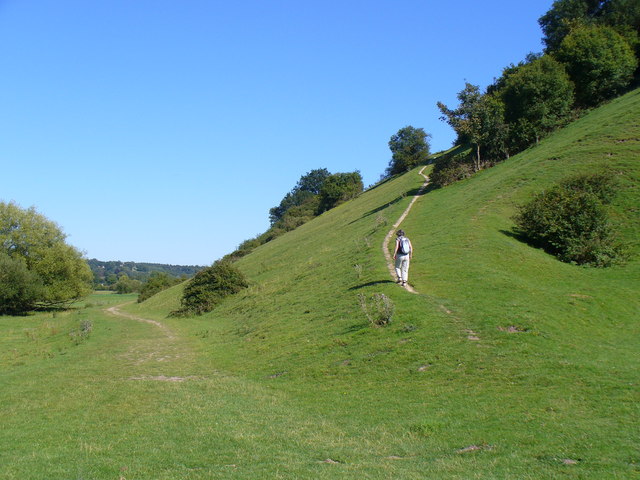 Hillside By Cock Marsh © Colin Smith Cc By Sa20 Geograph Britain 1183