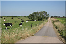 SK6896 : Farm track near Misson by Alan Murray-Rust