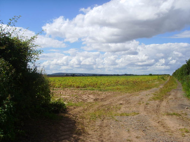 Farm land near Tern Farm